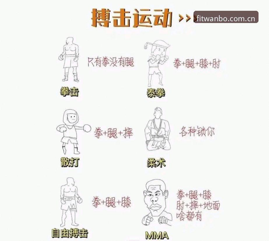 万搏体育功能 万搏体育功能的5个隐藏技巧,老用户都在用的实战经验分享